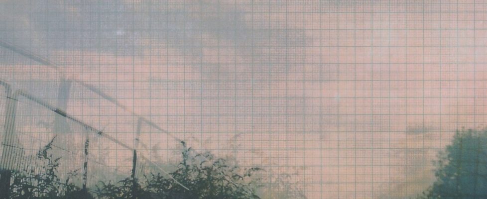 Kate McElroy, Image 1