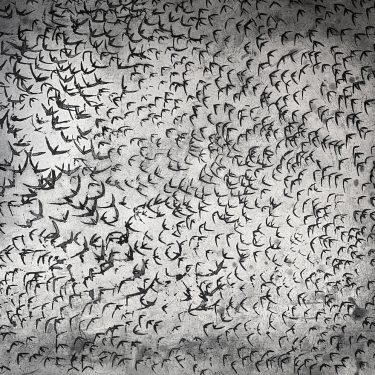 Vincent Sheridan |  Graphic Studio Gallery 
off Cope Street Temple Bar, Dublin 2 | Monday 19 July to Sunday 31 October 2021 | to 