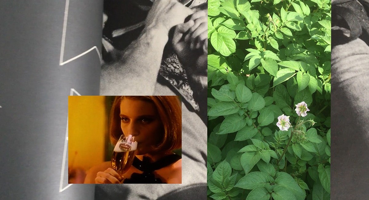 Aikaterini Gegisian, The Manipulator Vlog: Episode 1 (still), 2021. Video, colour, sound, 3:57 minutes. Courtesy of SIRIUS, Ireland | Aikaterini Gegisian: The Manipulator Vlog: Episode 1 | Wednesday 21 July  – Saturday 25 September 2021 | SIRIUS