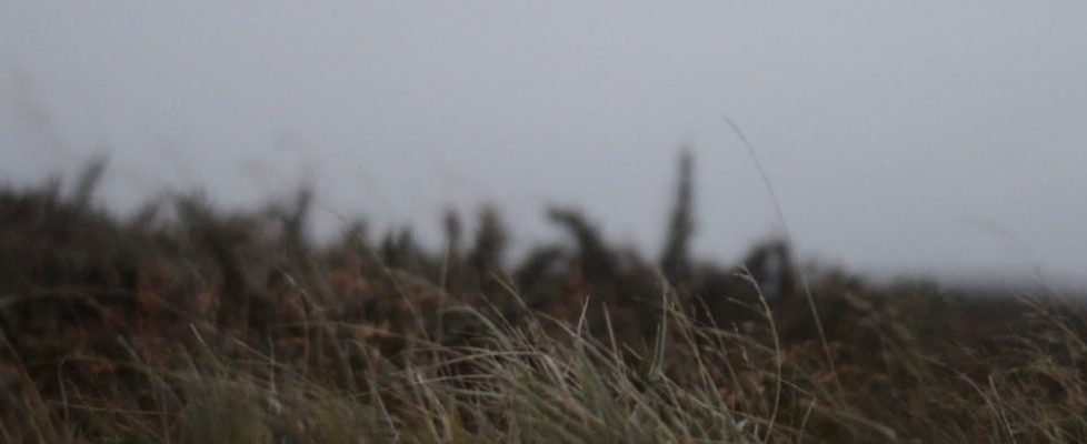 1ff-Susan-Hughes-Lost-video-still-2021