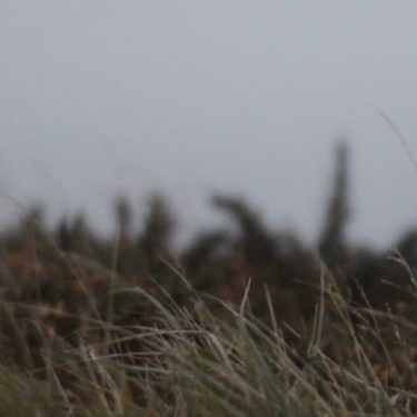 Susan Hughes: CCA Graduate Award |  CCA 
5-7 Artillery Street Derry~Londonderry | Wednesday 1 September to Thursday 30 September 2021 | to 