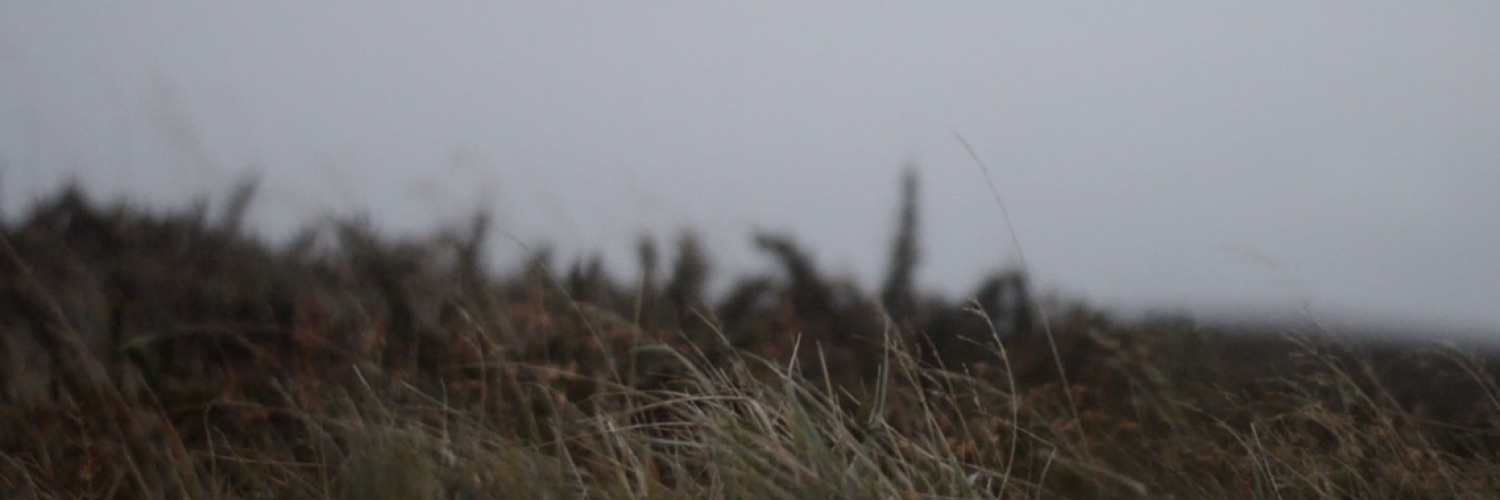 Susan Hughes: CCA Graduate Award | Wednesday 1 September  – Thursday 30 September 2021 | CCA