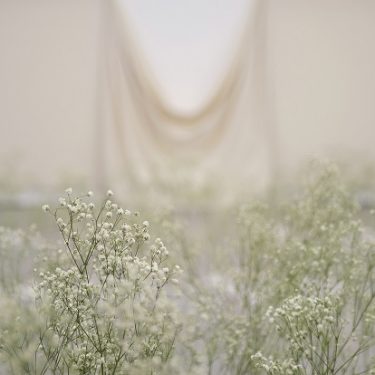 Mark Garry: Songs of the Soil |  Limerick City Gallery 
Pery Square, Limerick | Friday 24 September to Sunday 28 November 2021 | to 