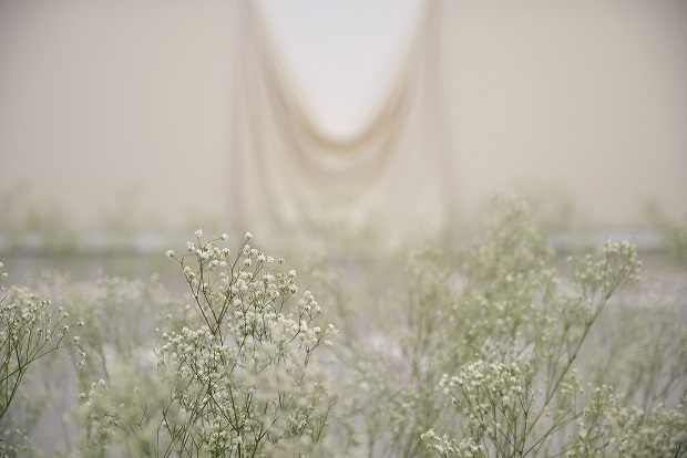 Mark Garry: Songs of the Soil | Friday 24 September  – Sunday 28 November 2021 | Limerick City Gallery