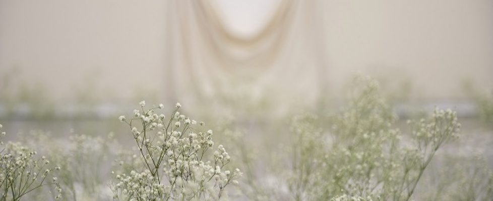 2smaller2_Mark Garry