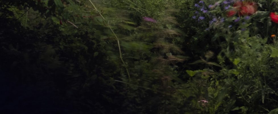 LCGA_TestSpace_2021_evite