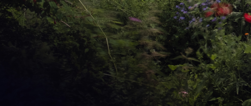 Natalia Beylis, Padraig Cunningham, Sharon Phelan: A Resonant Landscape | Friday 24 September  – Sunday 28 November 2021 | Limerick City Gallery