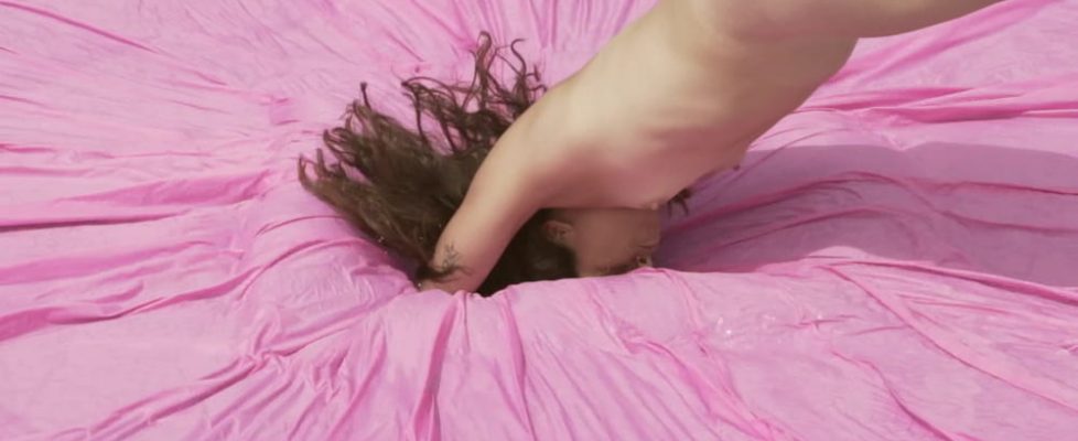 SBRILLERWALL_TORONTOIDES_2020_01-Web