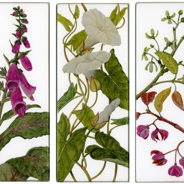 Yanny Petters: Field of Vision |  Olivier Cornet Gallery 
3 Great Denmark Street (beside Belvedere College) Dublin 1 | Sunday 10 October to Saturday 6 November 2021 | to 