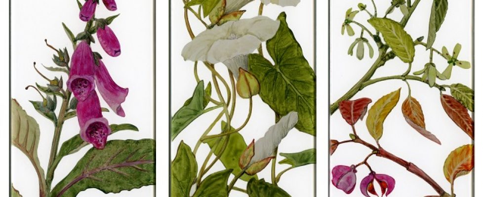 yanny-petters-in-the-hedgerow-foxglove-blind-weed-spindle-verre-eglomise