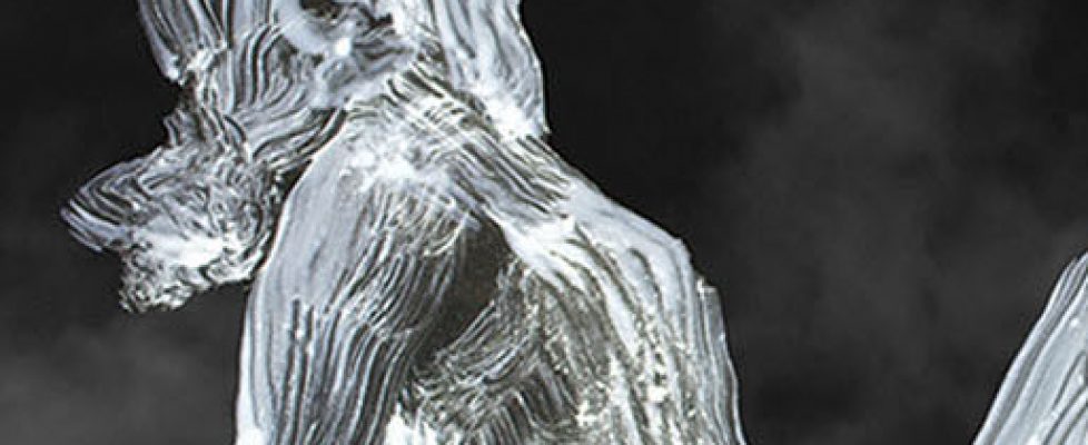 MRWalsh_bannerforWAC