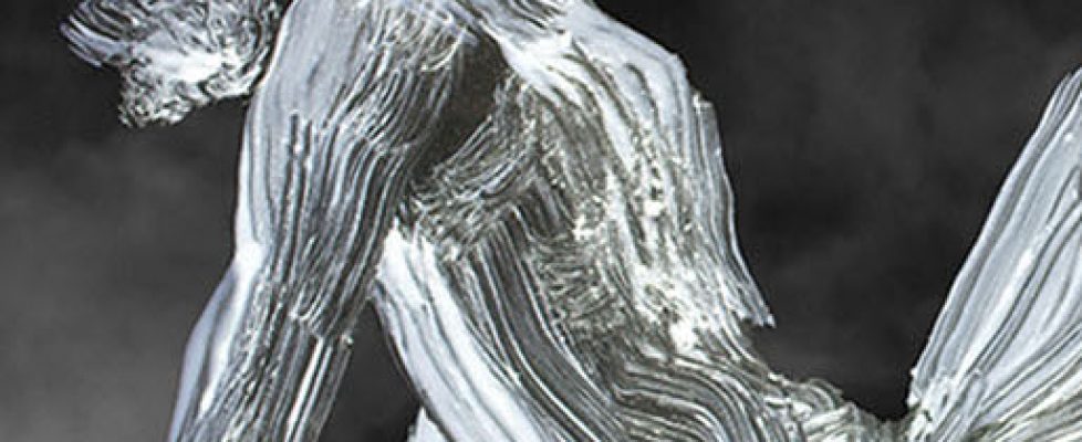 MRWalsh_bannerforWAC