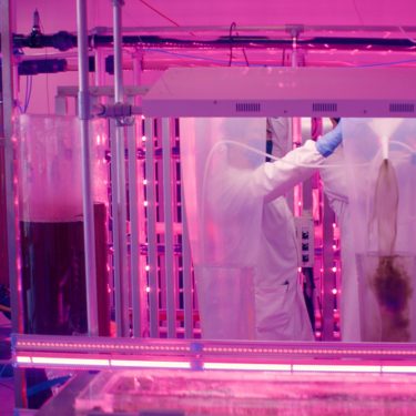 Patrick Hough: The Two Faces of Tomorrow |  The Event Space Marina Market Cork | Thursday 11 November to Saturday 13 November 2021 | to 