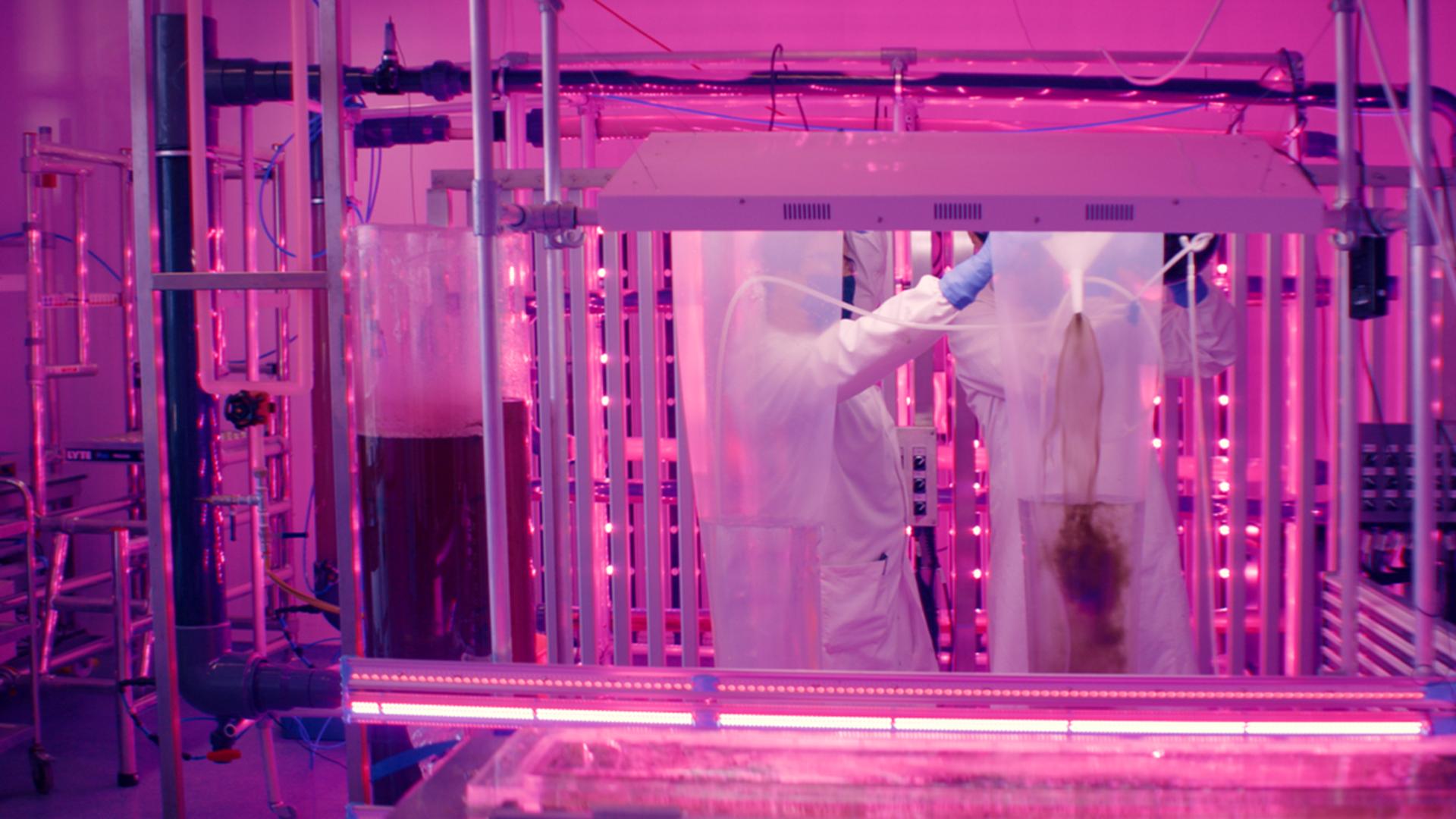 Patrick Hough: The Two Faces of Tomorrow | Thursday 11 November  – Saturday 13 November 2021 | 