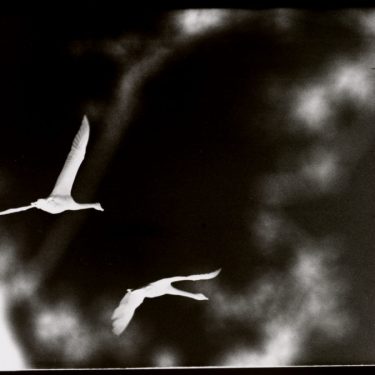 Frank McElhinney: éist / èist |  Regional Cultural Centre 
Port Road, Letterkenny Co. Donegal | Saturday 9 October to Saturday 27 November 2021 | to 