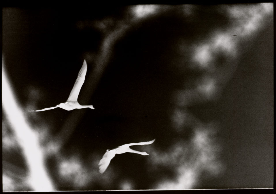 Frank McElhinney: éist / èist | Saturday 9 October  – Saturday 27 November 2021 | Regional Cultural Centre