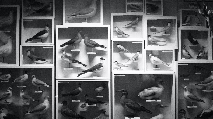 Maria Maarbjerg, Ode to changes, still 2, Photography, image courtesy of the artist | Maria Maarbjerg: ode to changes | Friday 26 November 2021  – Sunday 23 January 2022 | Royal Hibernian Academy