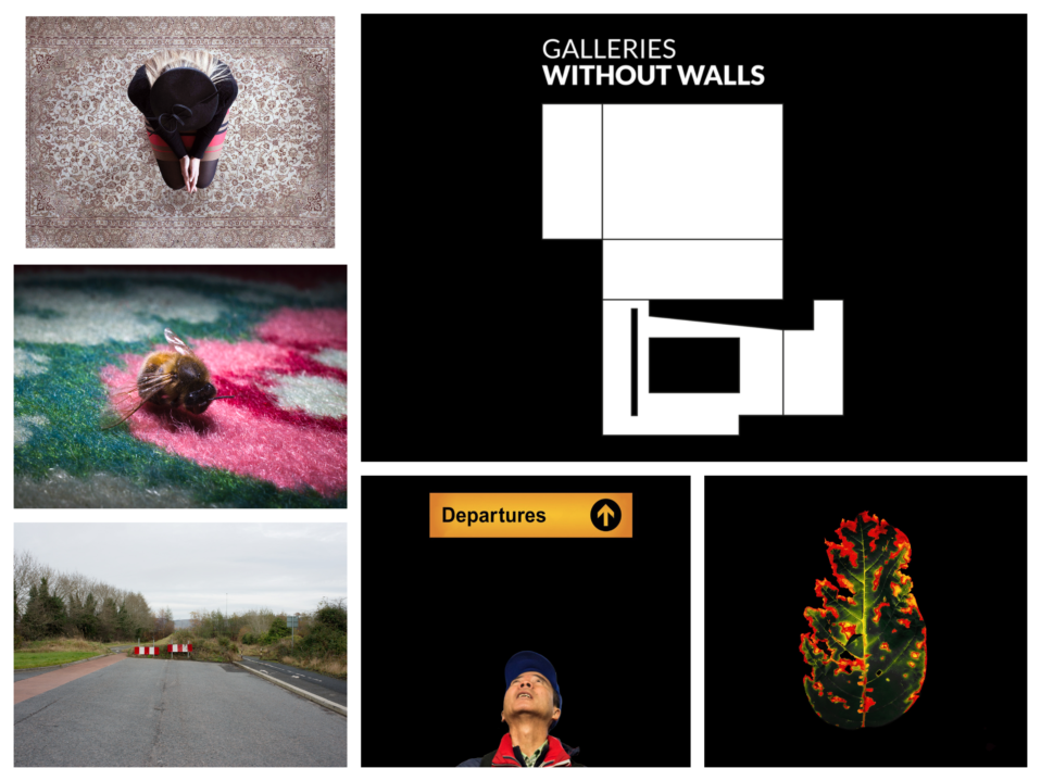 Galleries With[out] Walls – NFTs: The next frontier for artists? | Saturday 13 November  – Saturday 18 December 2021 | Regional Cultural Centre