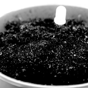 Edy Fung: God is Meditating: Still |  Golden Thread Gallery 
23-29 Queen Street Belfast BT1 6EA | Saturday 15 January to Saturday 19 February 2022 | to 