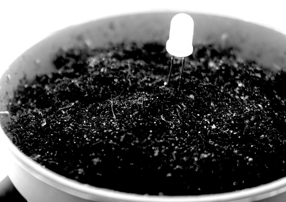 Edy Fung: God is Meditating: Still | Saturday 15 January  – Saturday 19 February 2022 | Golden Thread Gallery