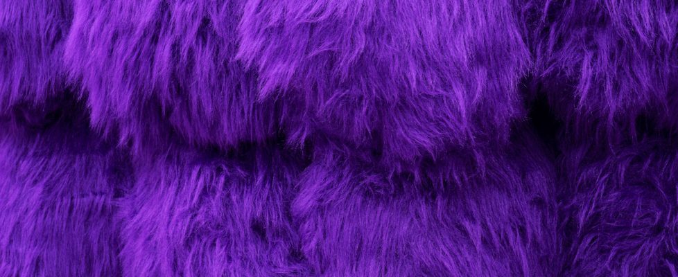 Seiko Hayase_Egg_no text