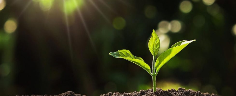 with-other-matter-exhibition-image