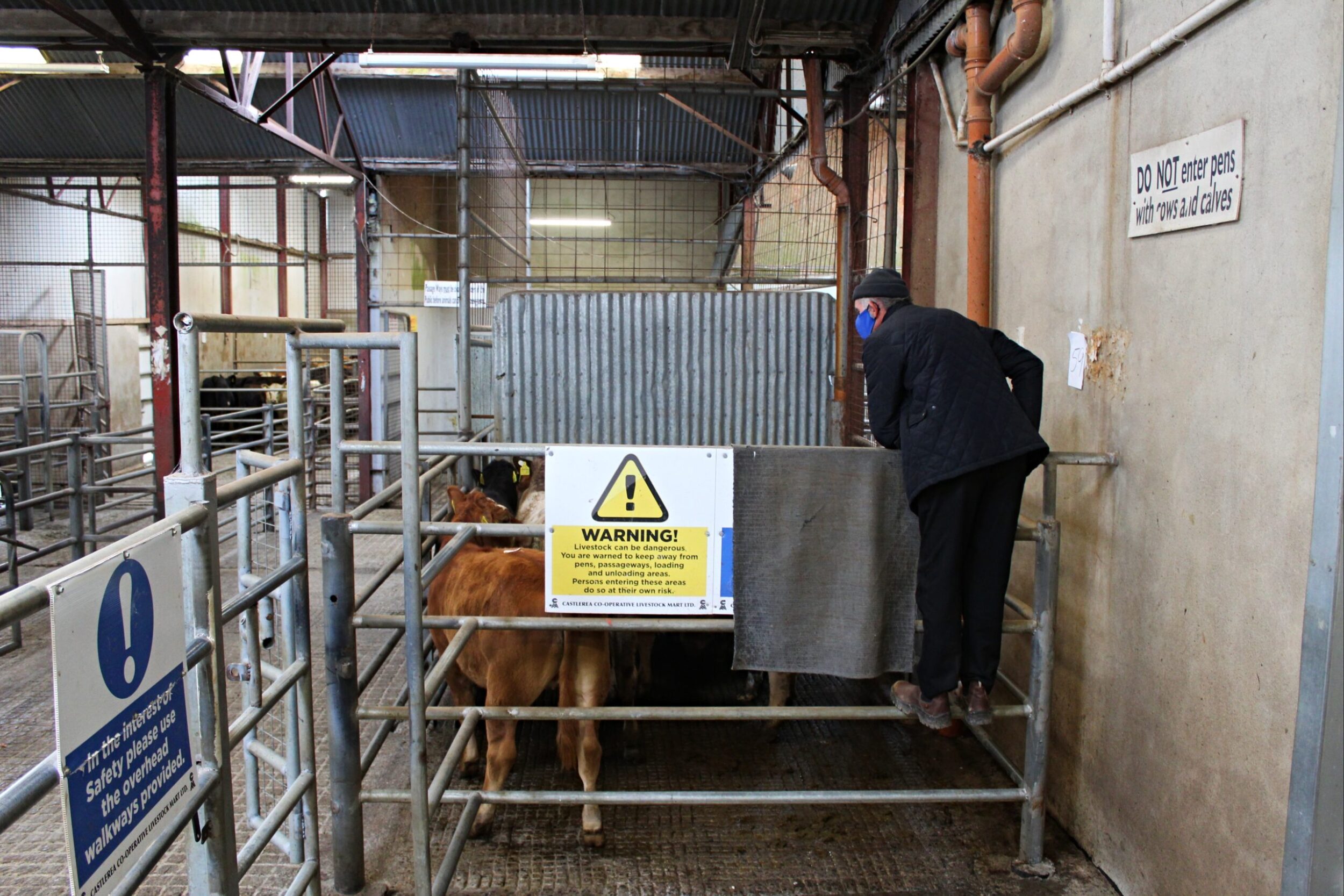 Laura Earley: The Mart Project | Saturday 26 March  – Thursday 14 April 2022 | Roscommon Arts Centre