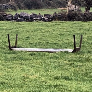 Deirdre O’Mahony: Feeder |  Royal Hibernian Academy 
15 Ely Place, Dublin 2 | Friday 18 February to Sunday 27 March 2022 | to 