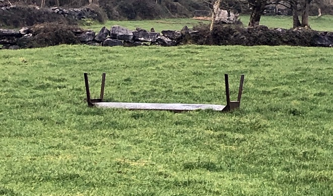 Deirdre O’Mahony: Feeder | Friday 18 February  – Sunday 27 March 2022 | Royal Hibernian Academy