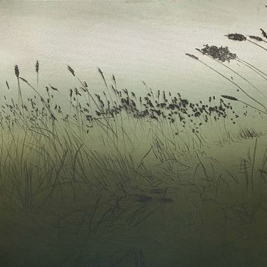 Hilary Kinahan: RAPT |  Luan Gallery 
Athlone, Co. Westmeath | Saturday 12 February to Sunday 3 April 2022 | to 