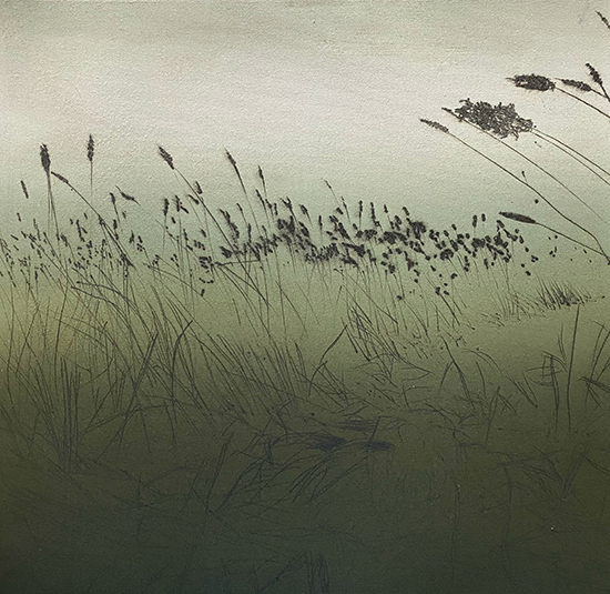 Hilary Kinahan: Meadow, etching 30 × 30 cm, 2022 | Hilary Kinahan: RAPT | Saturday 12 February  – Sunday 3 April 2022 | Luan Gallery
