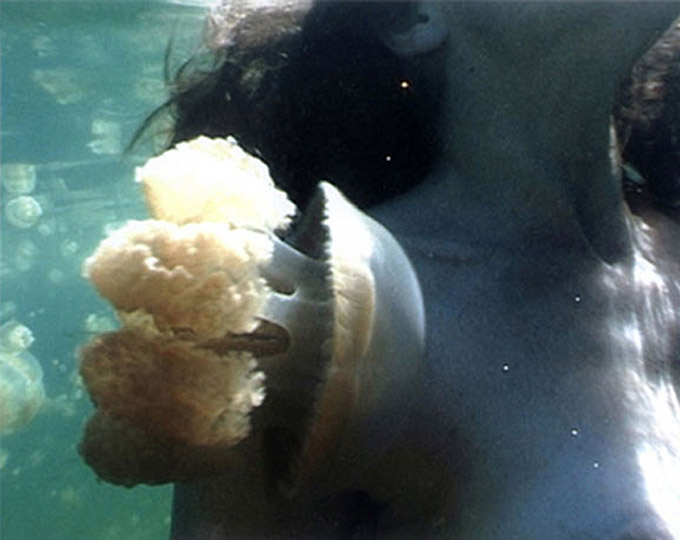 Dorothy Cross: Jellyfish Lake, Image Still from DVD © the Artist | Dorothy Cross: Jellyfish Lake | Friday 22 April  – Sunday 15 May 2022 | Crawford Art Gallery