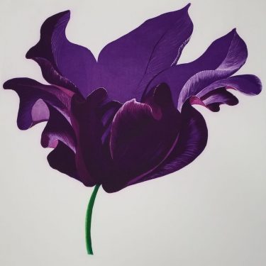 Mór |  Graphic Studio Gallery 
off Cope Street Temple Bar, Dublin 2 | Saturday 19 March to Saturday 23 April 2022 | to 