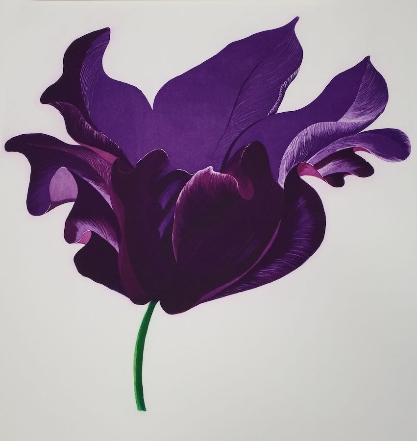 Grainne Cuffe, A Night…, etching | Mór | Saturday 19 March  – Saturday 23 April 2022 | Graphic Studio Gallery