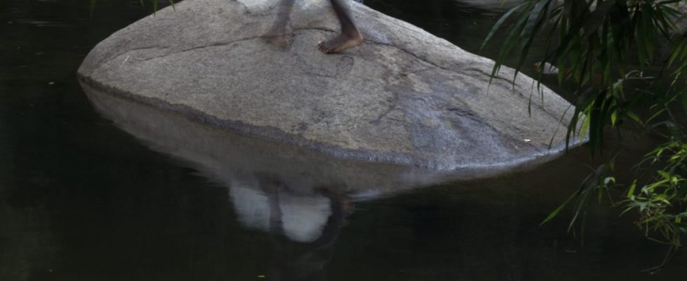 Untitled-XVI-Ketoya-Eyongakpa2016-scaled