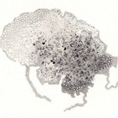 Michael Geddis and Joanna Kidney: mergeemerge |  Mermaid Arts Centre 
Main Street, Bray Co. Wicklow | Saturday 7 May to Saturday 18 June 2022 | to 