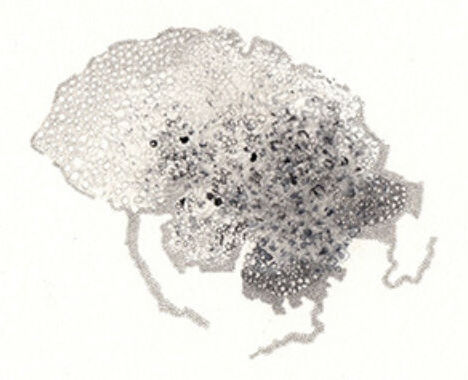 Michael Geddis and Joanna Kidney: mergeemerge | Saturday 7 May  – Saturday 18 June 2022 | Mermaid Arts Centre