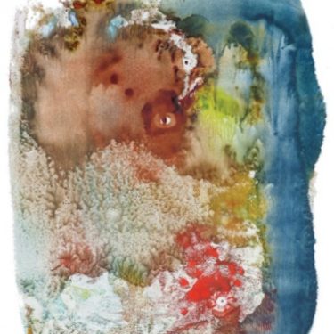 Heidi Nguyen: Birdsong |  Regional Cultural Centre 
Port Road, Letterkenny Co. Donegal | Saturday 9 April to Saturday 28 May 2022 | to 