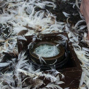 Wild Swans Performance Art: A Pound of Feathers |  Regional Cultural Centre 
Port Road, Letterkenny Co. Donegal | Sunday 8 May to Sunday 5 June 2022 | to 