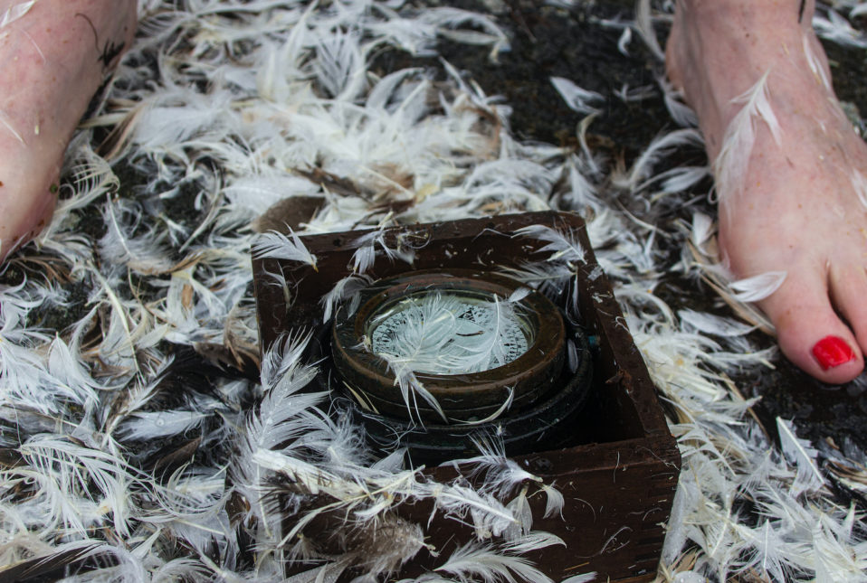 Wild Swans Performance Art: A Pound of Feathers | Sunday 8 May  – Sunday 5 June 2022 | Regional Cultural Centre