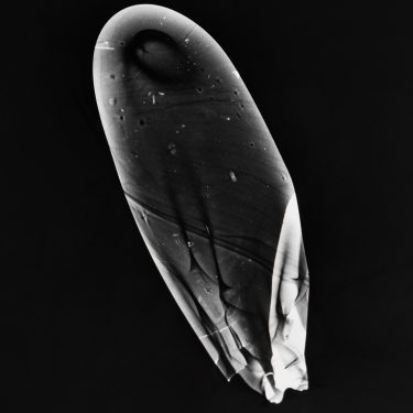 Sven Anderson, Chloe Brenan, Karl Burke, Adam Gibney & Theo McNab: I am Sitting in a Room |  Solstice Arts Centre 
Navan, County Meath | Saturday 18 June to Friday 5 August 2022 | to 