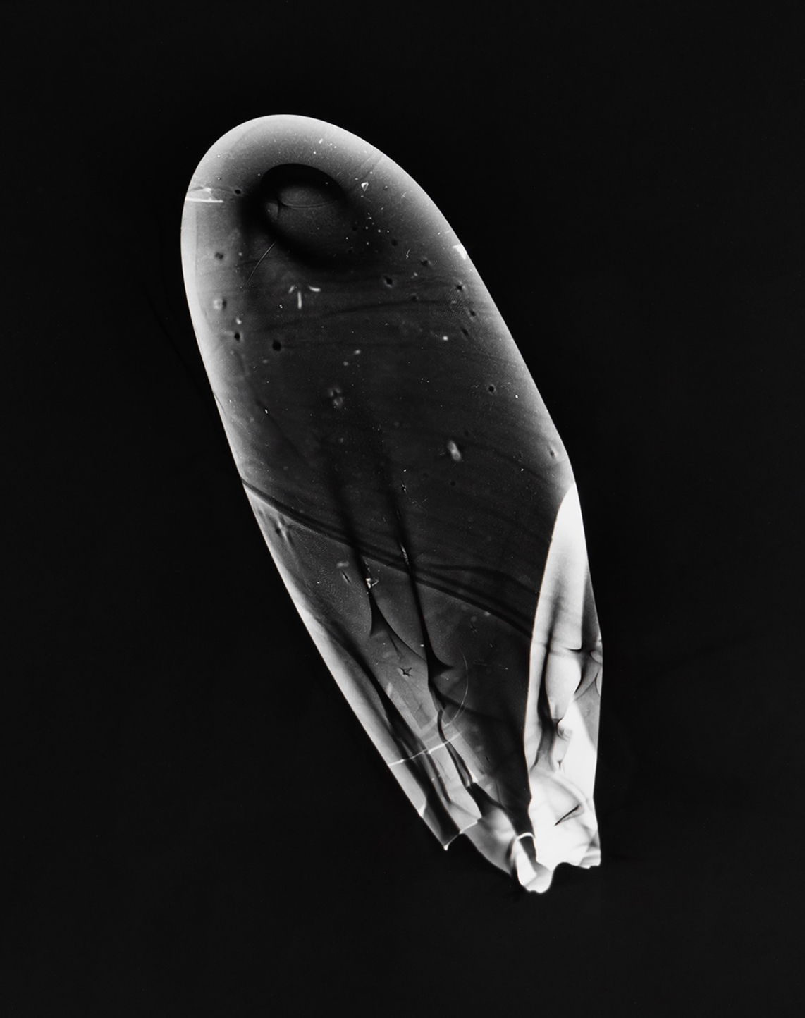 Chloe Brenan: Plosives,  2019, photogram series; courtesy of the artist | Sven Anderson, Chloe Brenan, Karl Burke, Adam Gibney & Theo McNab: I am Sitting in a Room | Saturday 18 June  – Friday 5 August 2022 | Solstice Arts Centre