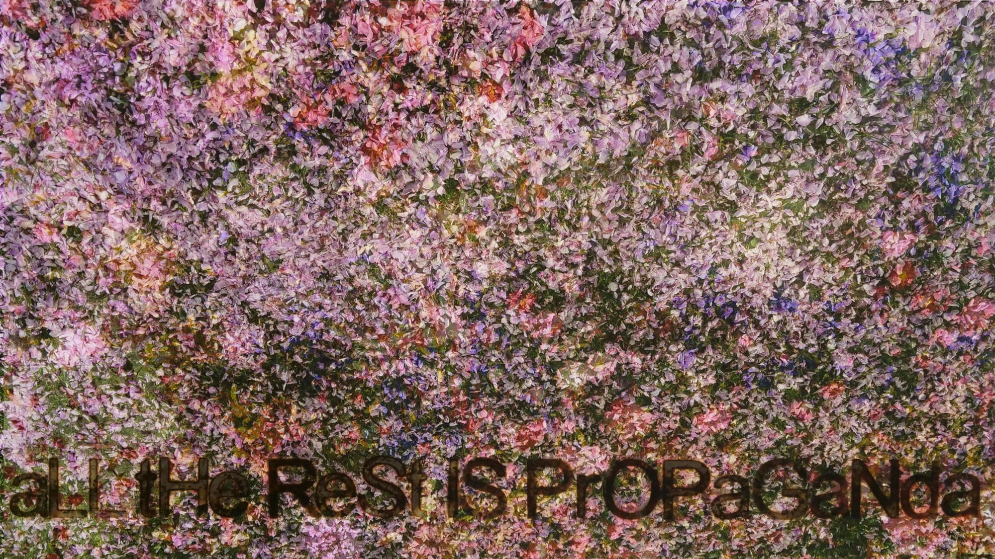 Elaine Byrne: Othered | Thursday 12 May  – Saturday 11 June 2022 | Kevin Kavanagh