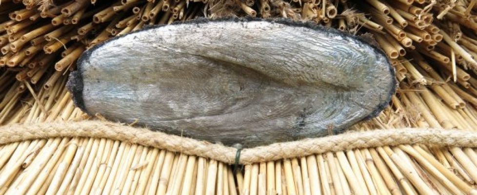 Idirlinn_600_410_85_c1