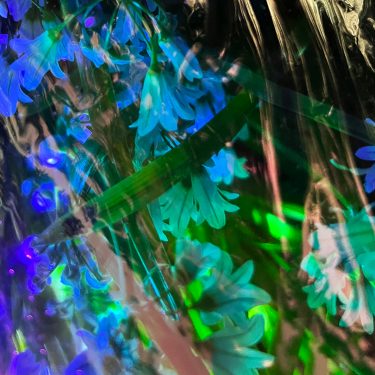 Lucy McKenna: A Dormant Light Resides In The Eye |  Solstice Arts Centre 
Navan, County Meath | Saturday 20 August to Saturday 22 October 2022 | to 