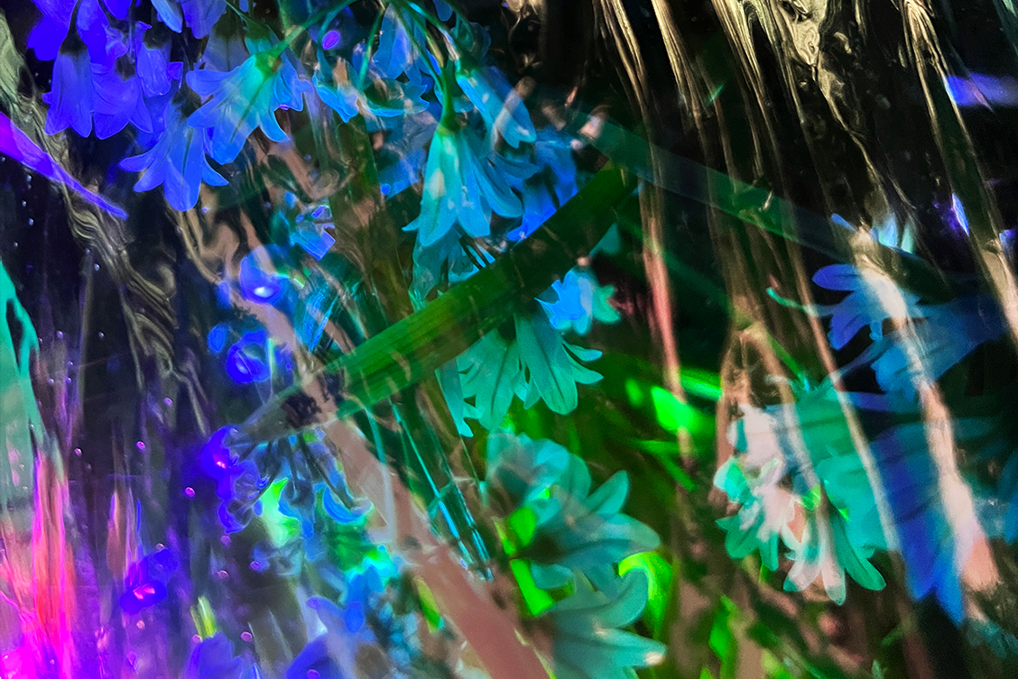 'Plantae Novae Ursinum Herba Salutaris 2.6' (detail), Lucy McKenna, 2022, digital print, 92 x 69cm. Courtesy of the artist. | Lucy McKenna: A Dormant Light Resides In The Eye | Saturday 20 August  – Saturday 22 October 2022 | Solstice Arts Centre