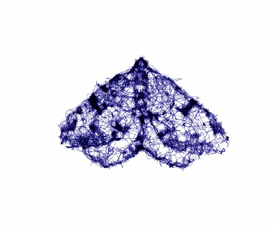 Mark Clare: eidolons | Friday 22 July  – Saturday 13 August 2022 | Uillinn: West Cork Arts Centre