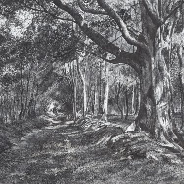 Michael Wann: Void Pastoral |  Solomon Fine Art 
Balfe Street, Dublin 2 | Thursday 7 July to Saturday 30 July 2022 | to 