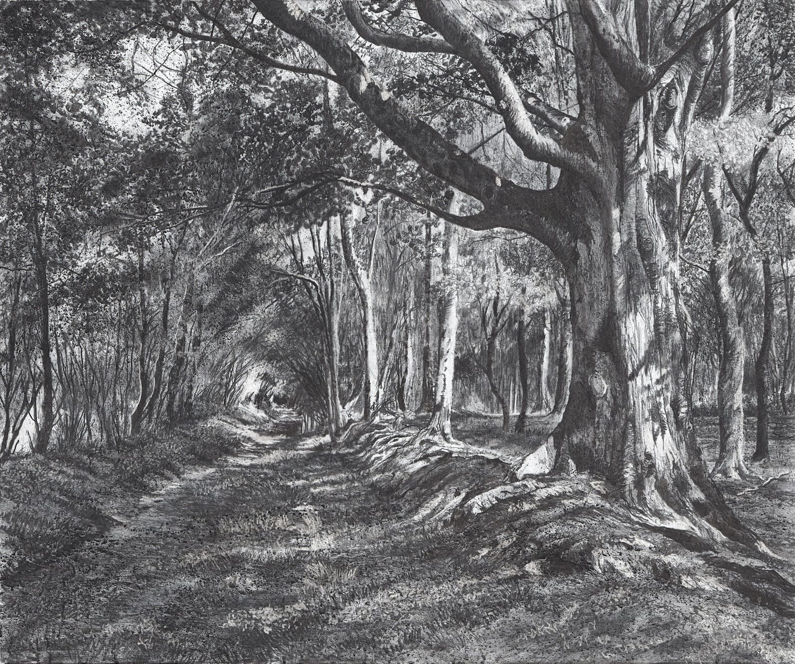 Michael Wann, Perimeter Light, 2022, charcoal and wash on canvas 100 x 120cm | Michael Wann: Void Pastoral | Thursday 7 July  – Saturday 30 July 2022 | Solomon Fine Art