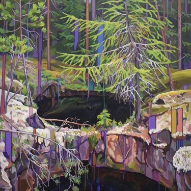Cecilia Danell: Brush Lightly through Fireweed Forests  |  Kevin Kavanagh 
Chancery Lane Dublin 8 | Thursday 8 September to Saturday 1 October 2022 | to 